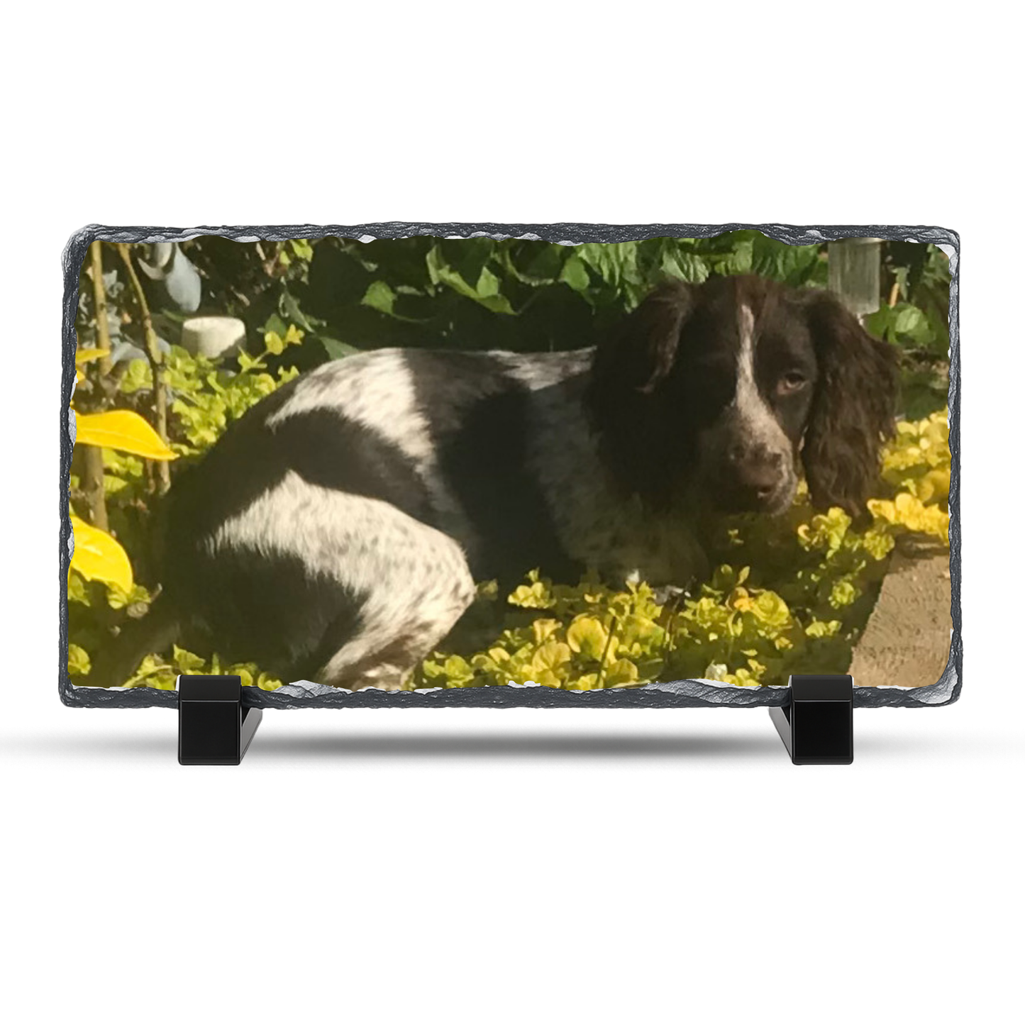 Rectangle Photo Slate