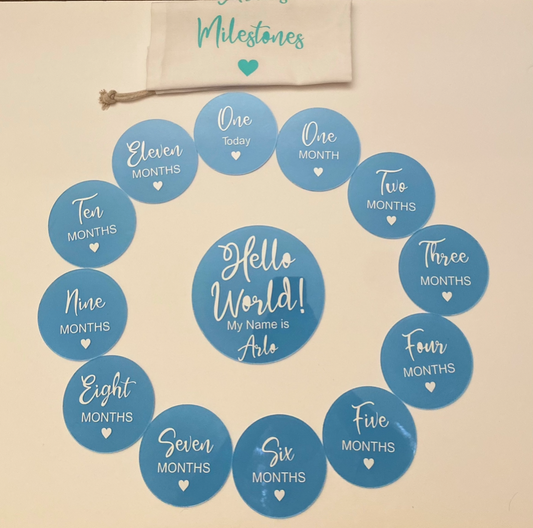Baby Milestone Discs