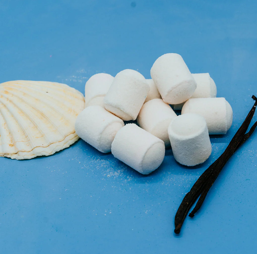 Sea Salt & Vanilla Mini Bath Bombs