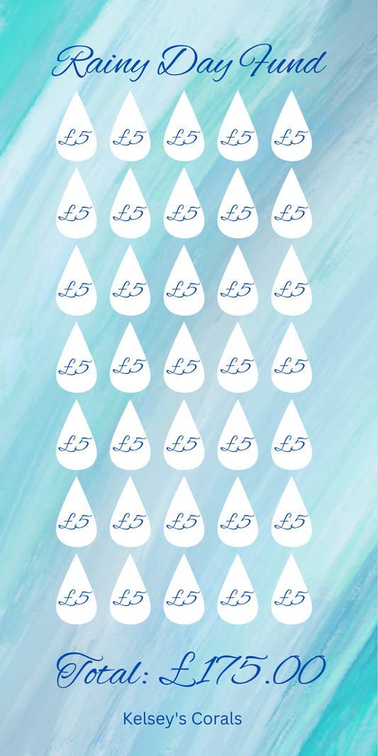 Rainy Day Fund Saving Tracker